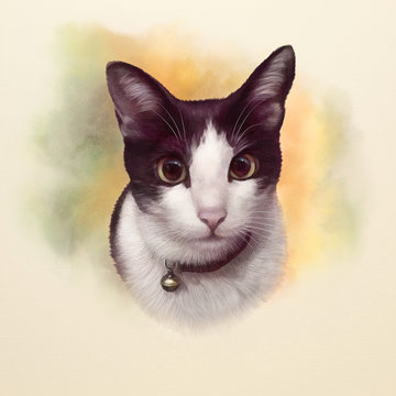 Cute black and white cat with big eyes. Portrait of a cat. Realistic drawing of a cat on the watercolor background. Good for print T-shirt, banner, cover, card. Hand painted animal illustration.