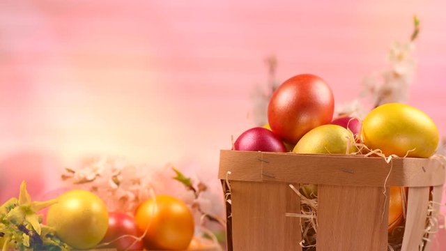 Easter holiday scene. Easter painted colorful eggs and spring flowers in a basket on a table rotated over pink background. 4K UHD video 3840X2160