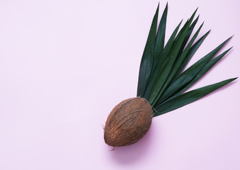  Coconut on blue background 
