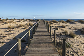 Fototapeta na wymiar Wooden bridge leading through the dunes to the Atlantic Ocean, Portugal