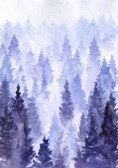 Hand drawn watercolor illustration with winter landscape. Foggy mystic coniferous forest.