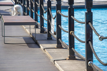 Obraz premium white dog, wood floor, rope, blue water pool