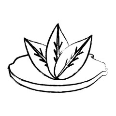 leaves icon image