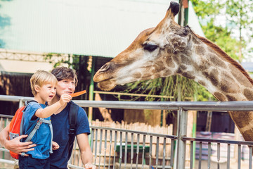 Father and son watching and feeding giraffe in zoo. Happy kid having fun with animals safari park...