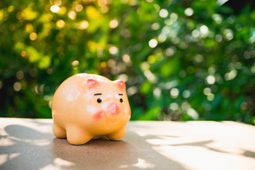 Orange ceramic Piggy Bank on green nature background using as money saving and business concept
