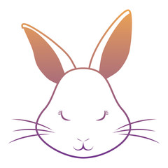 Cute rabbit icon 