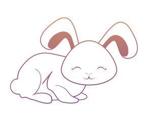 Cute rabbit icon 