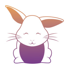 Cute rabbit icon 