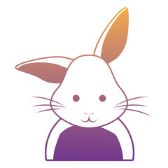 Cute rabbit icon 