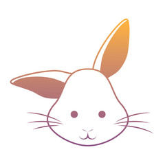 Cute rabbit icon 