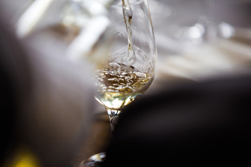 White Wine Glass - Close Up Scene
