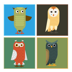 Cartoon owl bird cute character sleep sweet owlet cards vector illustration.