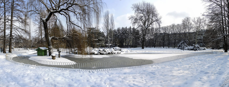 Danube's park in winter, Novi Sad, Serbia