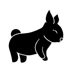 rabbit animal icon