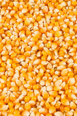 dried corn kernels