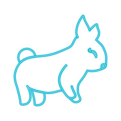 rabbit animal icon