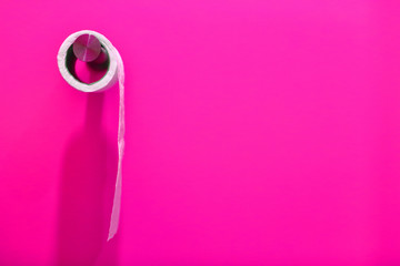 Obraz na płótnie Canvas a roll of toilet paper on a pink wall