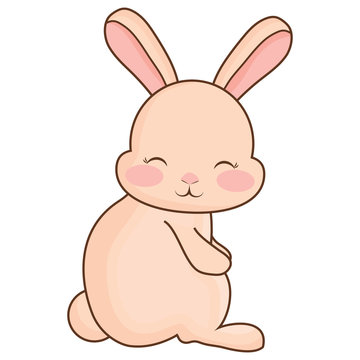 Cute bunny icon
