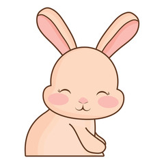 Cute rabbit icon