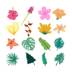 Decorative Tropical Flower And Leaves Hand Drawn Illustration