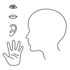 Органы чувств