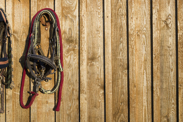 Bridle horse hanging on a wooden wall - obrazy, fototapety, plakaty