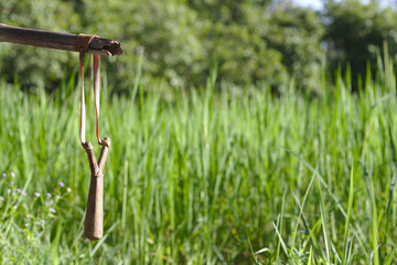 slingshot or catapult 