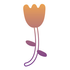 tulip flower icon