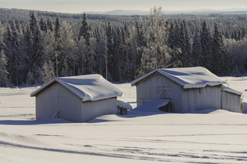 Fototapeta na wymiar the winter in swedish Lapland