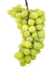 Fresh green grapes. Isolated on white