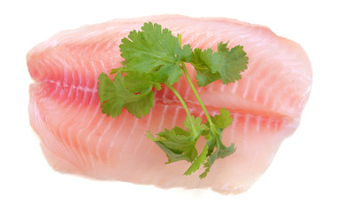 Tilapia fillet, fresh water fish, isolated on white background