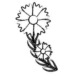 beautiful flowers design