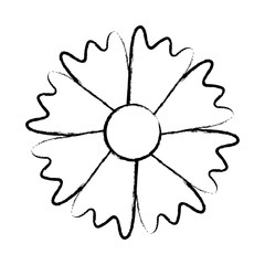 beautiful flower icon