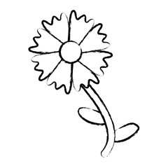 beautiful flower icon 