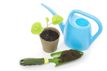 Young eggplant seedling in a pot with a garden trowel
