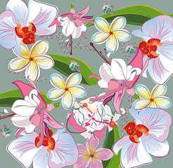 Series of greeting backgrounds with summer and spring flowers. Floral decorations with orchids and other tropical flowers. Vector illustration. 