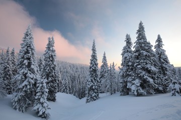 Fototapeta premium Winter landscape at dawn 