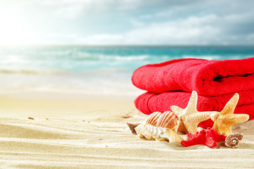 Fototapeta na wymiar shell on beach and summer time 