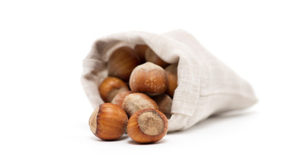 Hazelnuts on white background