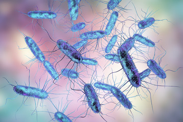 Salmonella bacteria. S. typhi, S. typhimurium and other Salmonella, Gram-negative rod-shaped bacteria, the causative agents of enteric typhus and food toxicoinfection salmonellosis, 3D illustration