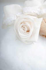 プリザーブドフラワー　コットン　アップ