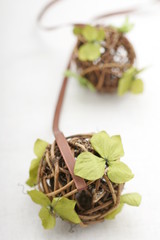 プリザーブドフラワー　吊り　飾り　アップ　