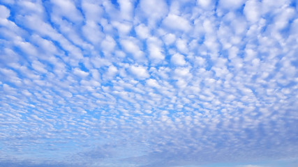 Obraz premium Beautiful cloud in the morning