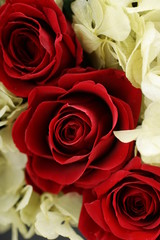 プリザーブドフラワー　赤　バラ　アップ　