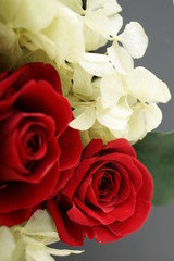 プリザーブドフラワー　赤　バラ　アップ　　