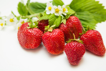 strawberry on isolated white background