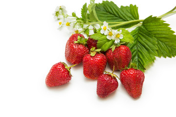 strawberry on isolated white background