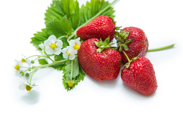 strawberry on isolated white background