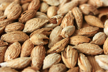 Fried inshell almonds