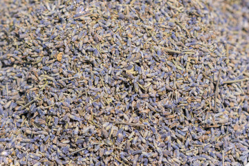 dried lavender flowers as background. Violet background